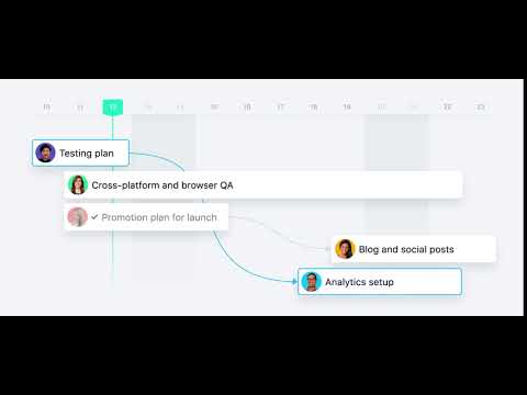 Asana video