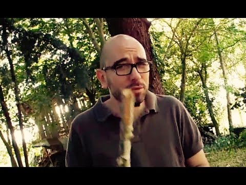 Uso Corretto dei tag nella SEO