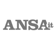 ansa-it-2
