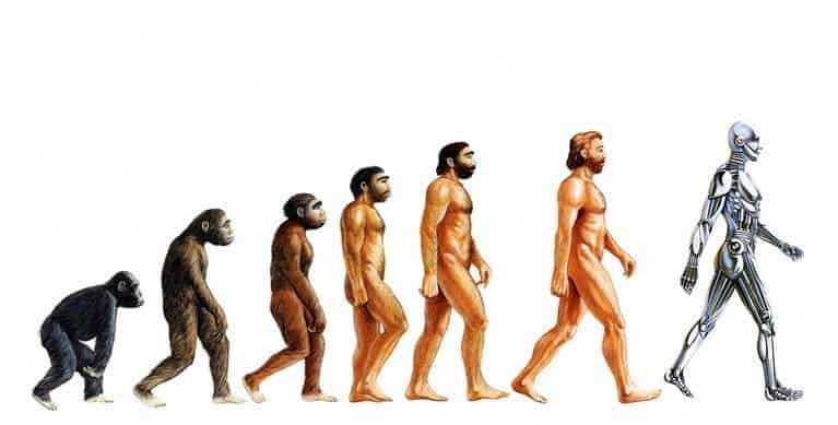 evoluzione seo