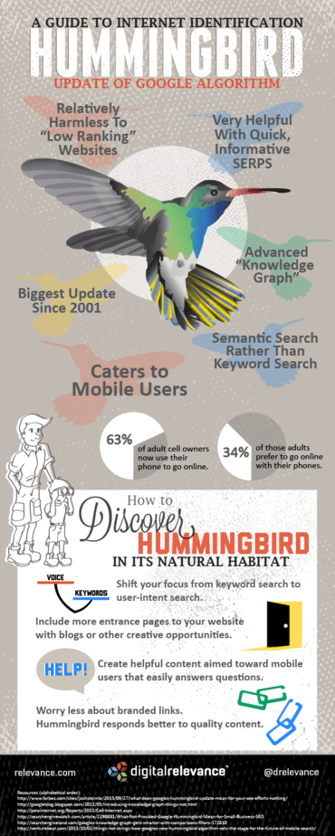 google hummingbird infografica