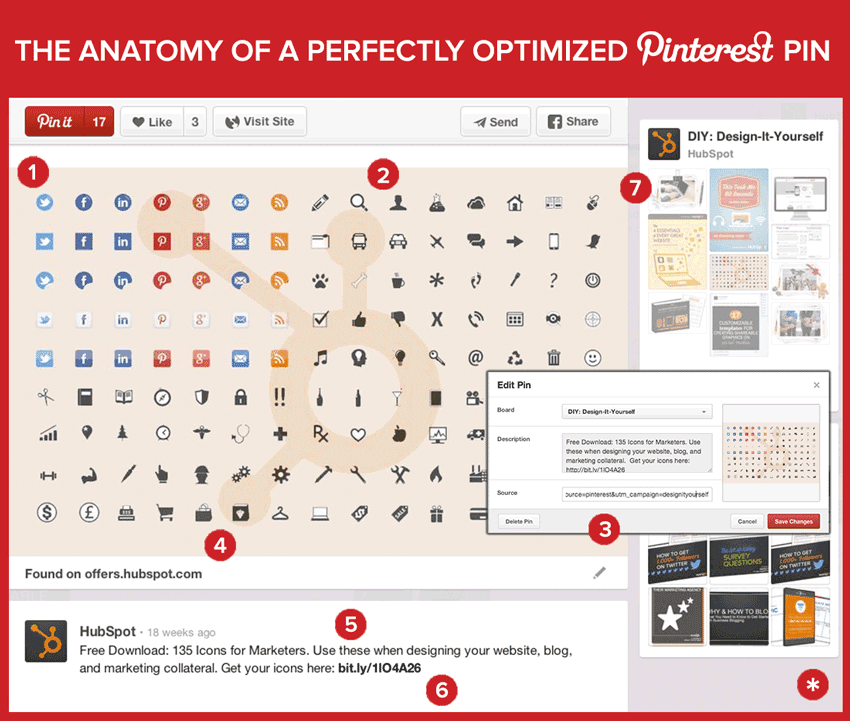 anatomia pin pinterest perfetto