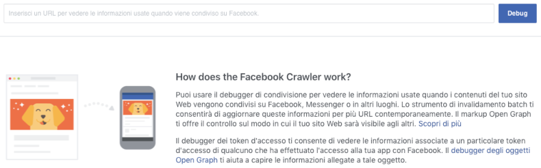 Home page del debug link di Facebook.