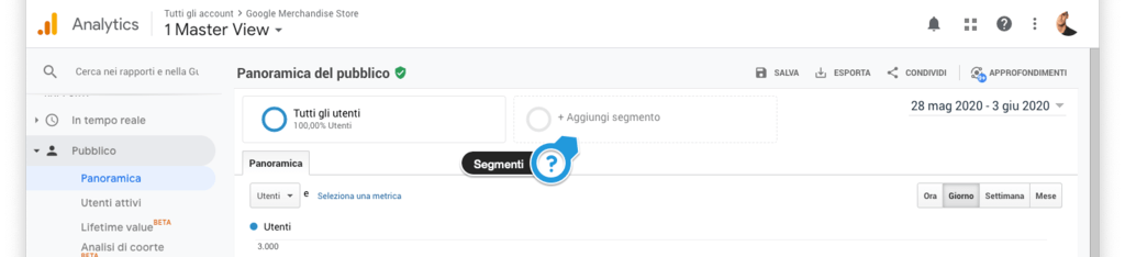 Applicare un segmento a un rapporto in Google Analytics.