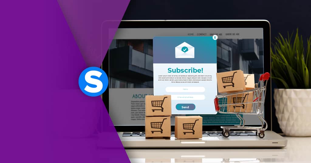 Ecommerce e newsletter