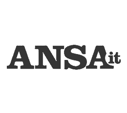ansa