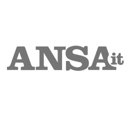 ansa-it-2.png