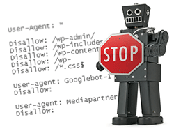  file robots txt